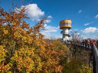 Der Baumkronenpfad im Nationalpark Hainich