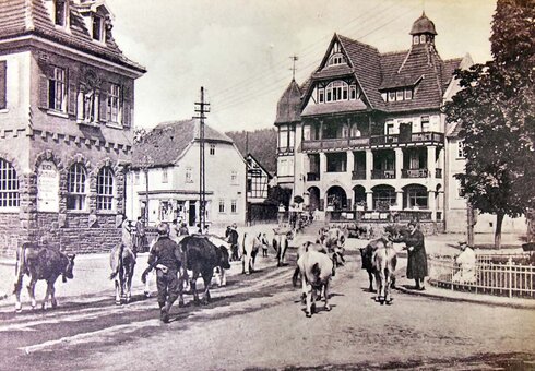 historische Ansicht vom Hotel