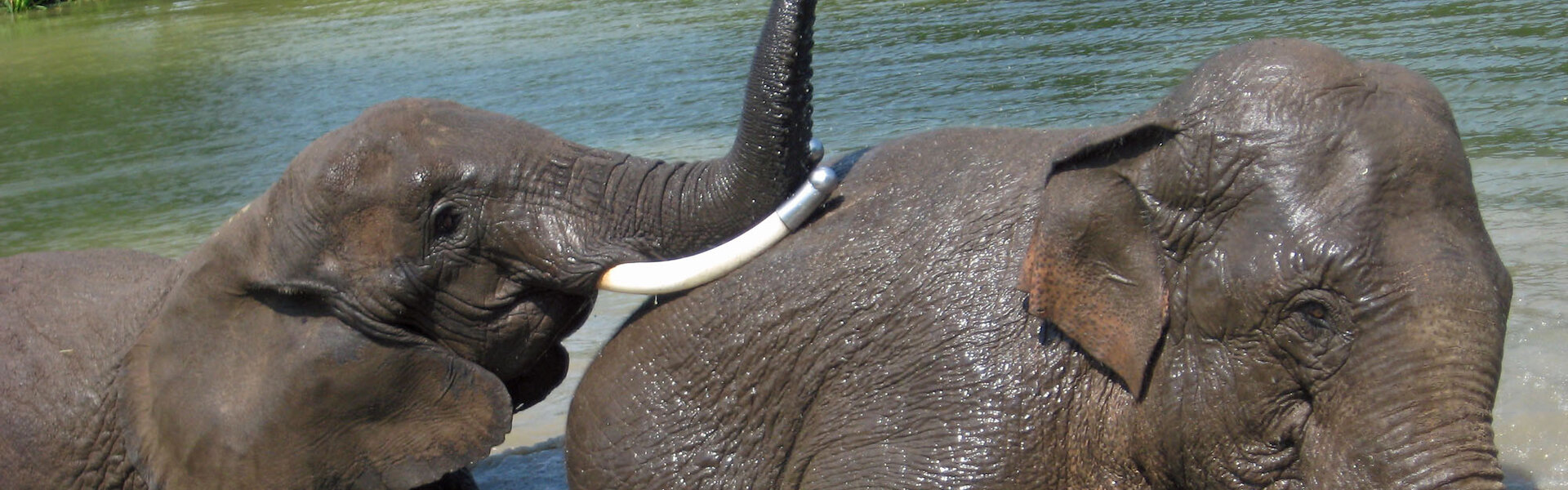 Erlebnispark Starkenberg