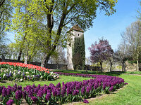 Arboretum in Bad Langensalza