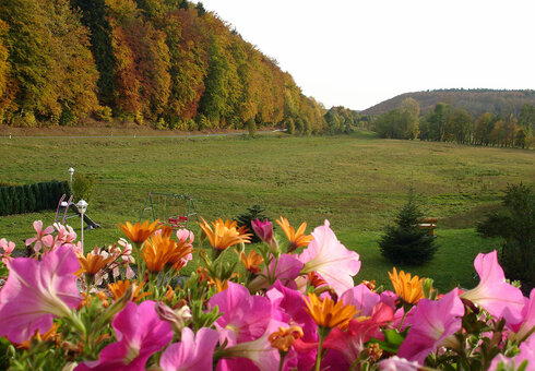 Blick vom Hotel in die umliegende Natur