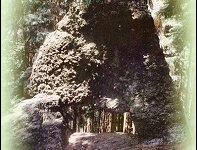 Naturlehrpfad Gießübler Schweiz