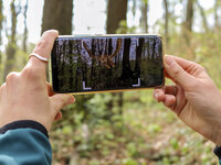 Waldpfad-Schlauer-Ux-natura-jenensis