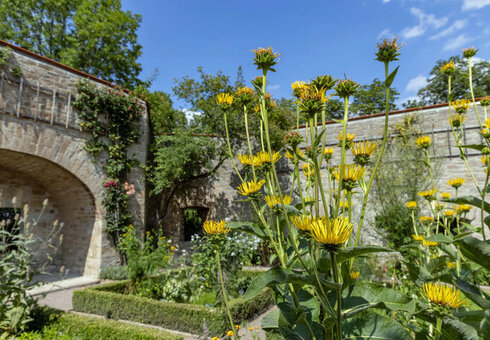 Deutsches Gartenbaumuseum © Foto: PPBraun