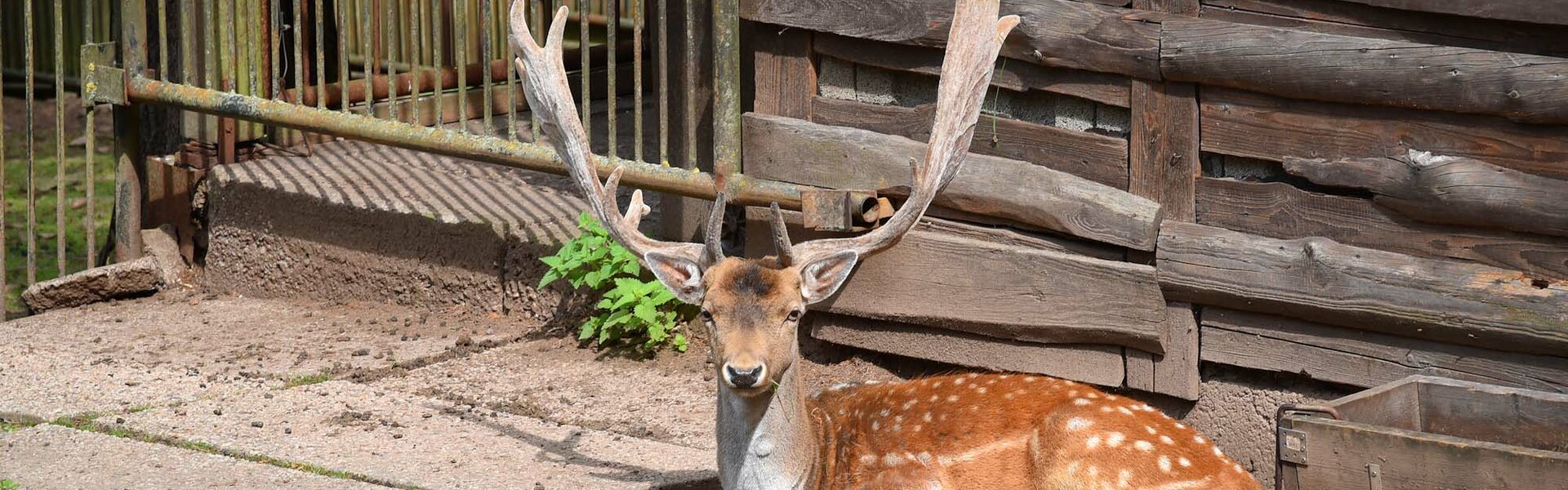 Tiergarten Sonneberg