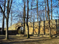 Burgruine Reichenfels