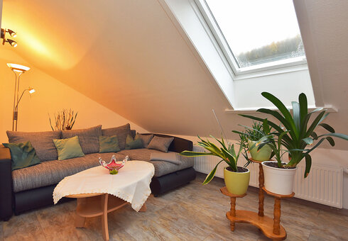 Couch im Wohn-Esszimmer