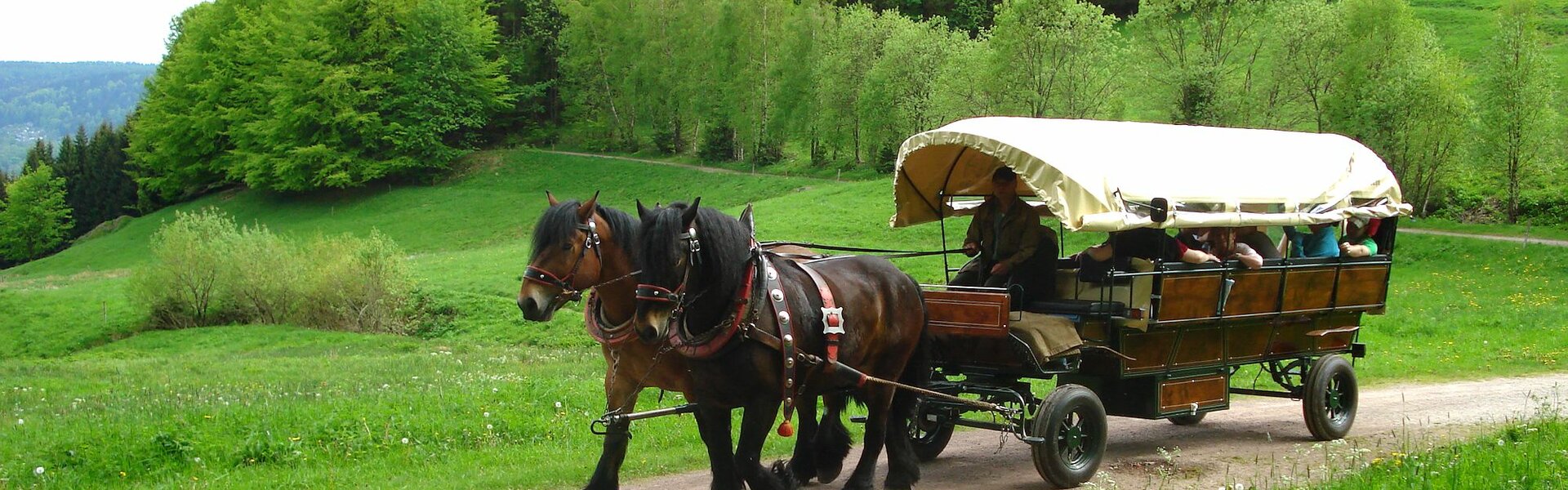 Pferdeschlitten & Planwagenfahrten Oberhof