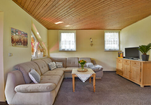 Wohnzimmer mit Couch und TV