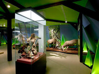 Haus der Natur Goldisthal