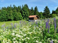 Landschaft bei Suhl