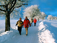 Winterwandern am Rennsteig