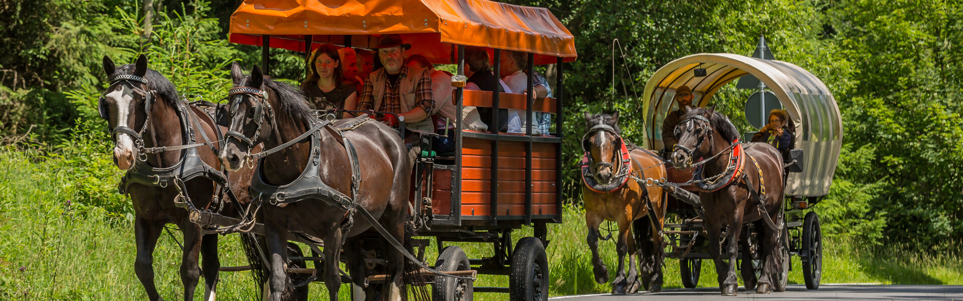 Reiterhof Rosenberger Hof