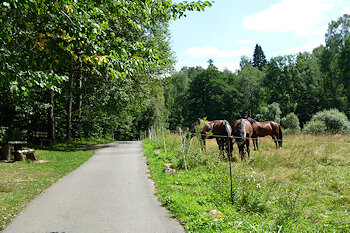 Zeitzgrund und Mühltal