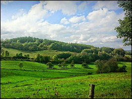 Landschaft bei Bad Blankenburg