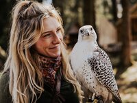 Falknerei am Rennsteig