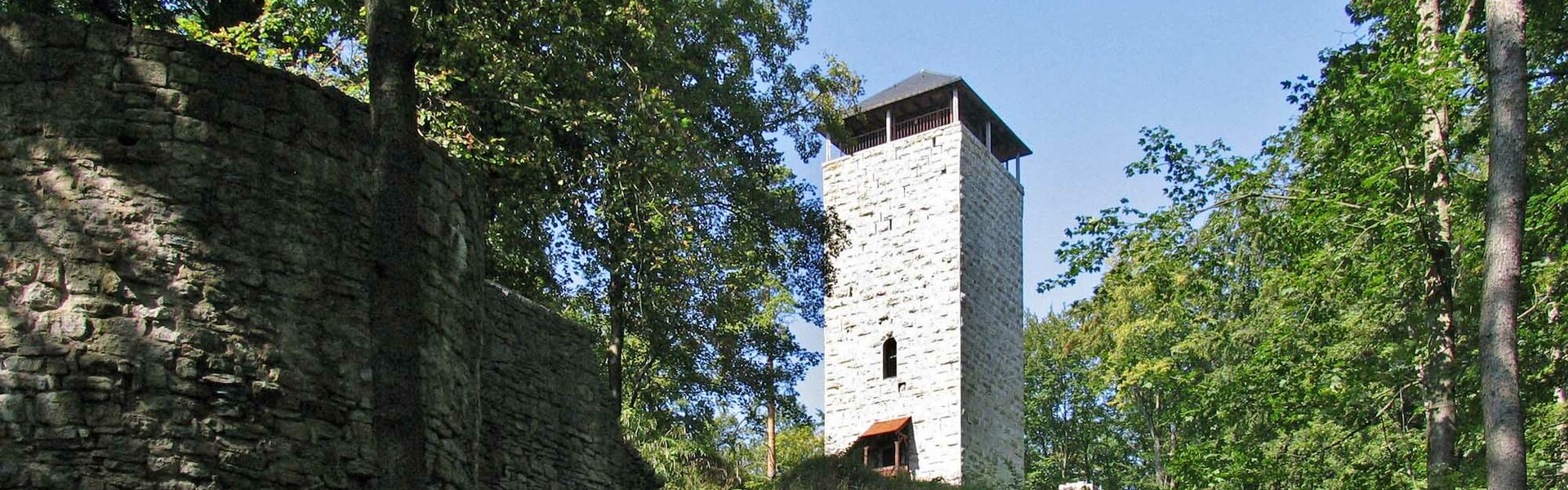 Die Osterburg bei Henfstädt