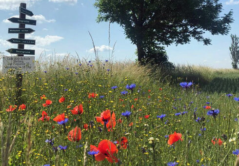 Ferienwohnung Blessbergblick