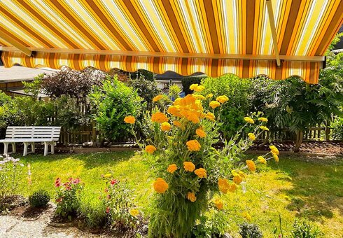 Blick in den Garten