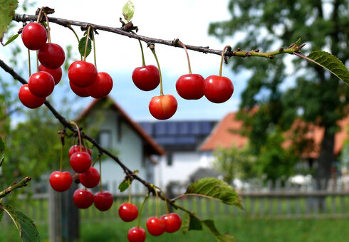 Landgasthof Heideperle