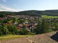 Blick auf den Ort Frankenhain
