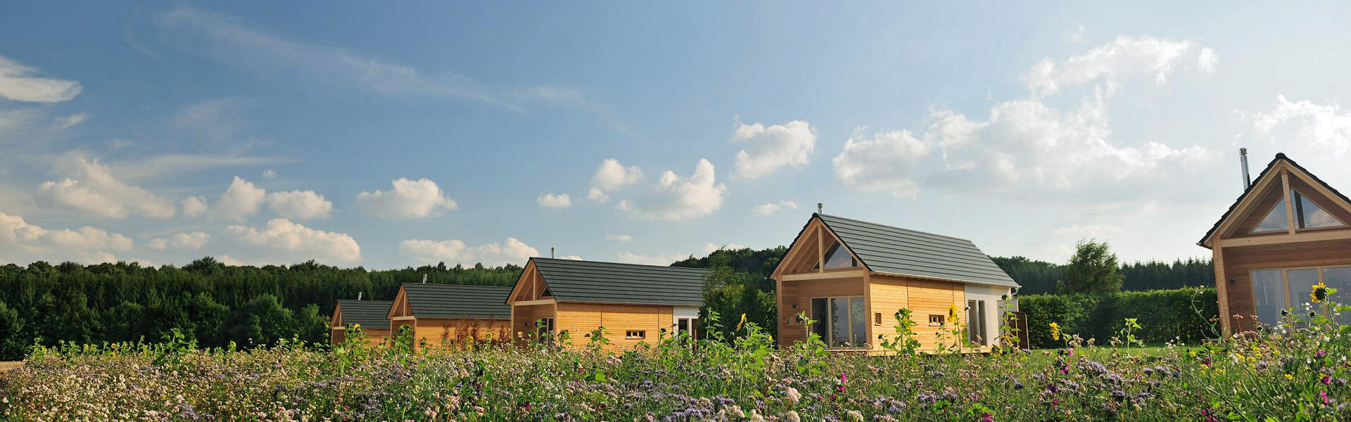 Hainichhoefe_Chalet_Siedlung_Panorama Hainichhoefe_Chalet_Siedlung_Panorama