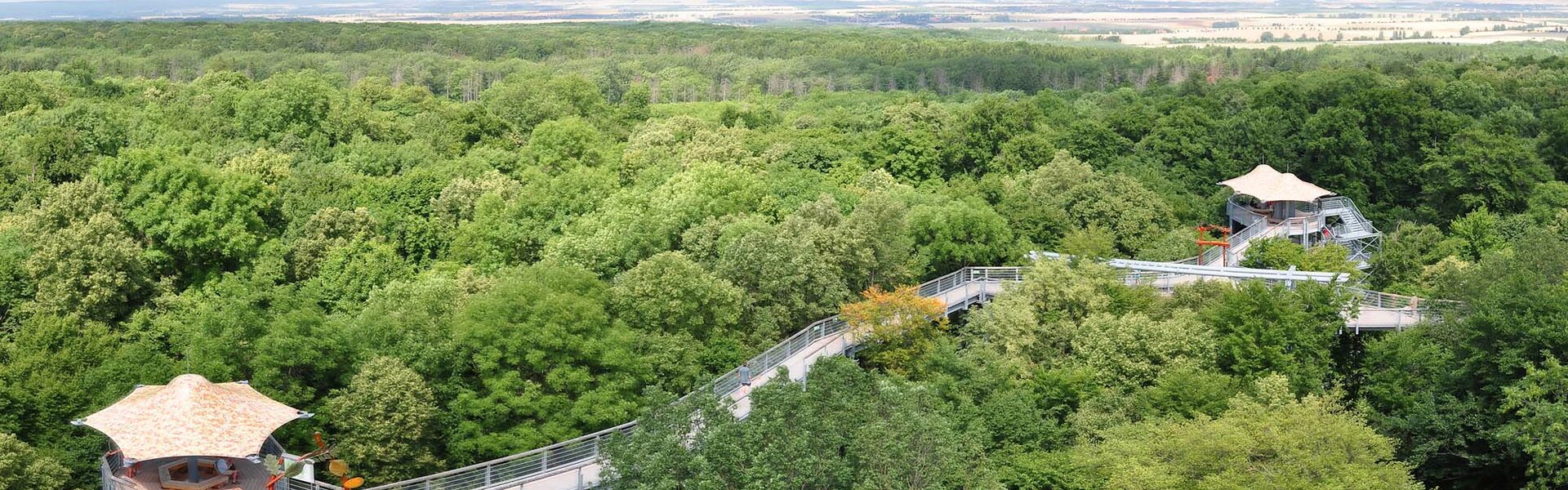 Baumkronenpfad im Nationalpark Hainich