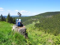 Landschaft im Thüringer Wald