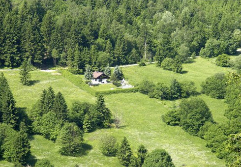 herrliche Alleinlage am Waldrand