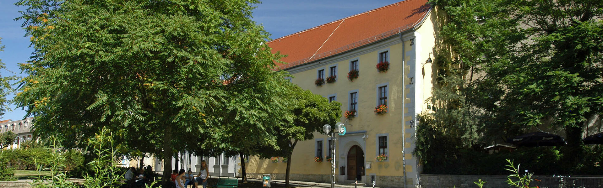 Haus zum Alten Schwan in Erfurt