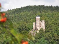 Burgruine Hallenburg