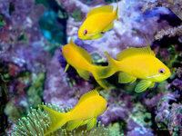 Erlebnispark Meeresaquarium