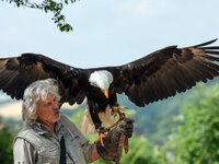 Adler- und Falkenhof Schütz