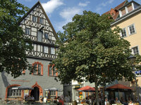 Stadtmuseum und Kunstsammlung der Stadt Jena