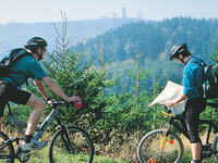 Rennsteig Mountainbike Tour