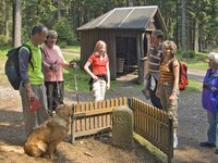 Thüringer-Wald-Entdecker