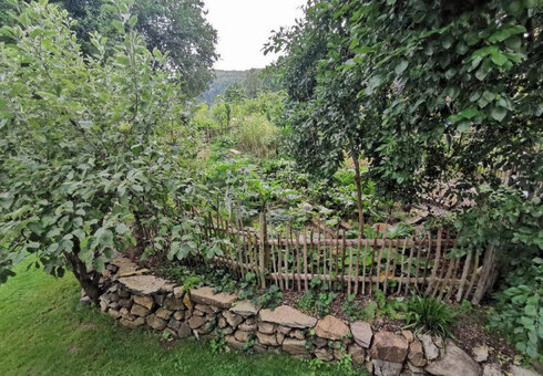 Blick in den Garten