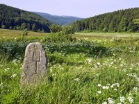 Thüringer Genießerwald