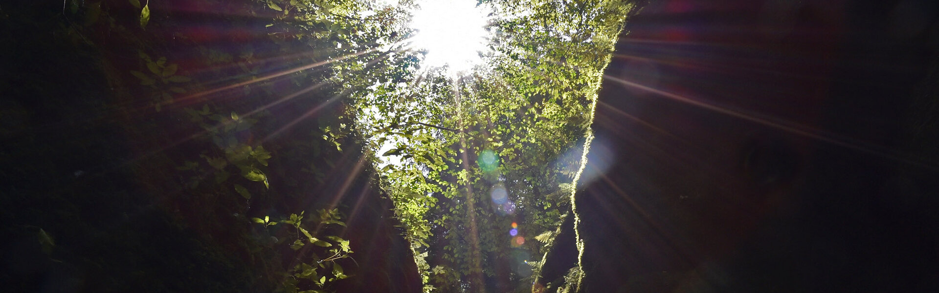Die Drachenschlucht im Thüringer Wald