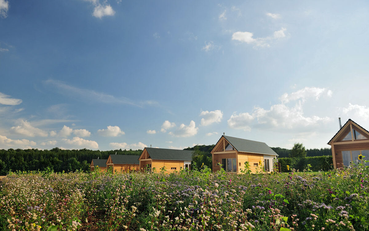 Hainichhoefe_Chalet_Siedlung_Panorama