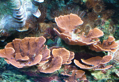 Erlebnispark Meeresaquarium