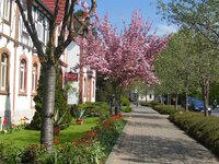 Bad Tennstedt, Kurstraße