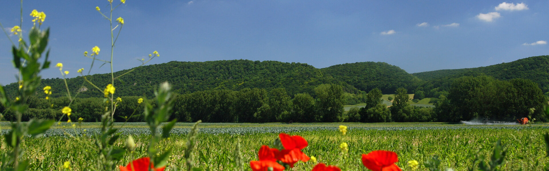 Landschaft im Saaleland