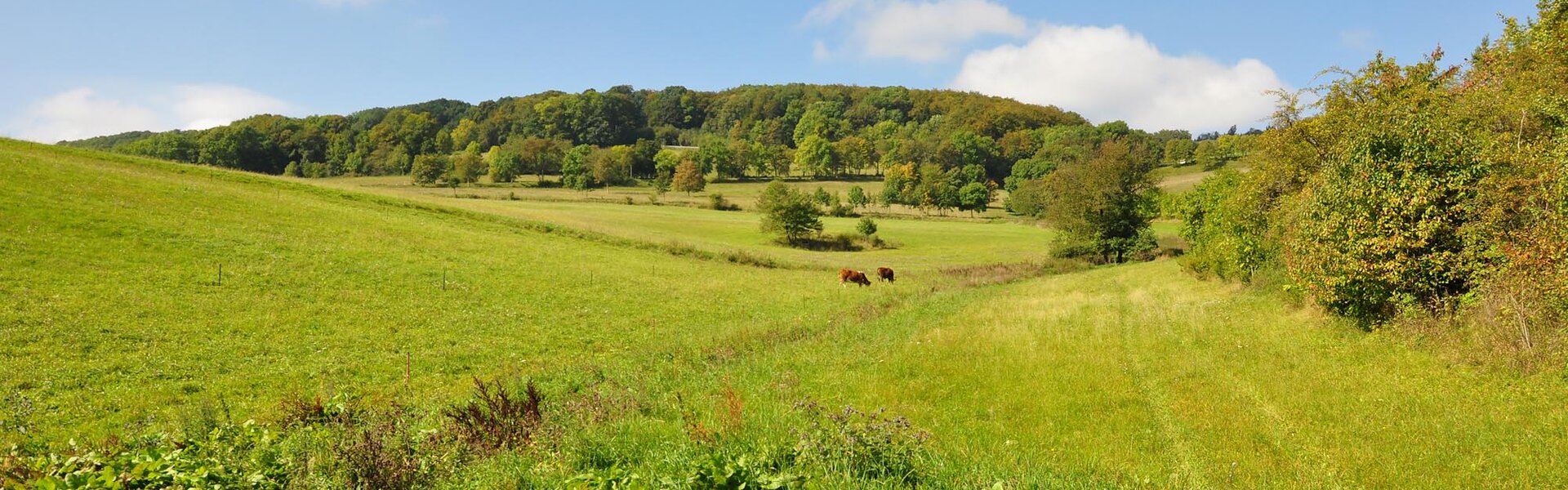 Rhönlandschaft an der Hohen Geba