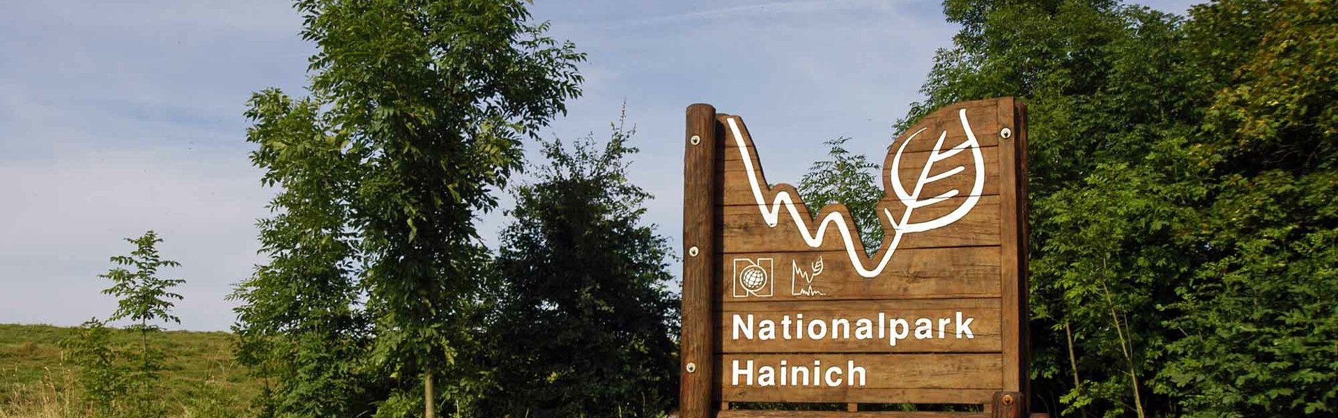 Nationalpark Hainich in Thüringen