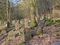 Jüdischer Friedhof in Schwarza