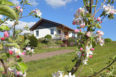 Ferienhaus-Angelika-Hinternah