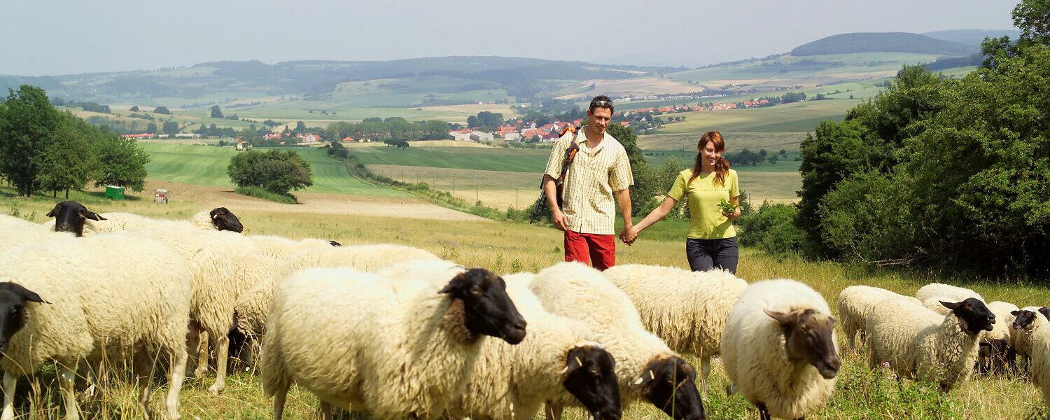 Rhönlandschaft bei Dermbach