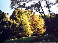 Schlosspark Altenburg