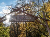 Nationalpark Hainich